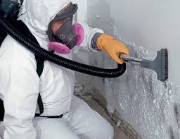  , USA Mold Removal & Remediation Pros